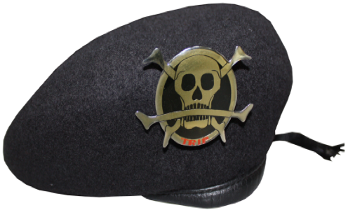 Koleksi Museum Joang 45